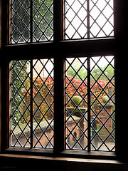 Tudor Window