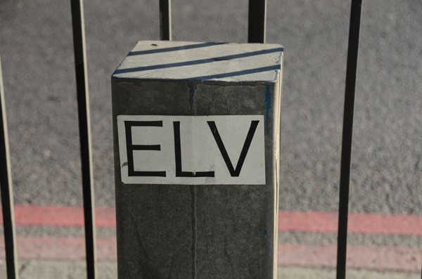 ELV(IS?ES?)