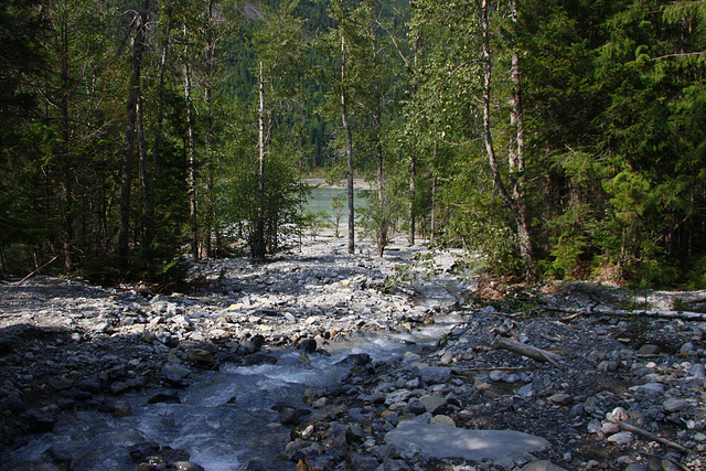 Near Kinney Lake