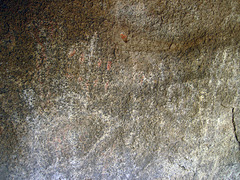 Petroglyphs & Pictographs (5671)