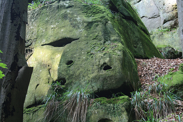 A Face In The Rock