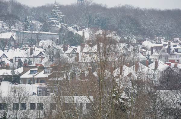 Snowy roofs