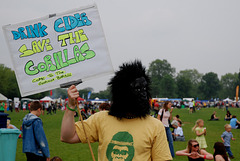 Drink cider, save the gorillas