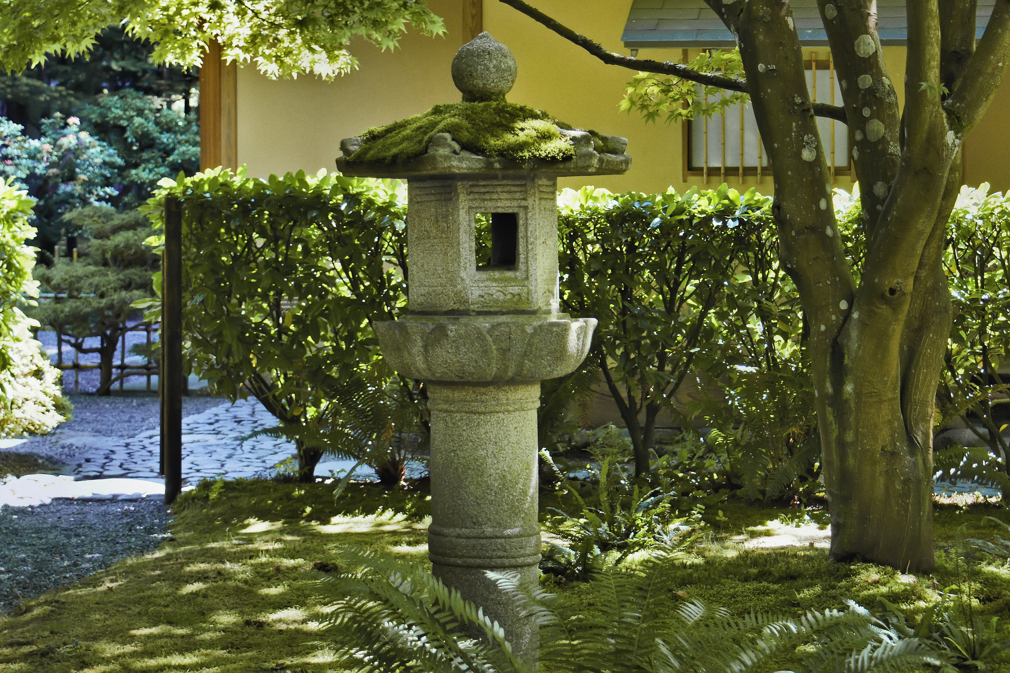 Behind the Teahouse – Nitobe Memorial Gardens, Vancouver, British Columbia