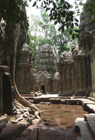 Ta Prohm- Reclaimed by the Jungle #1