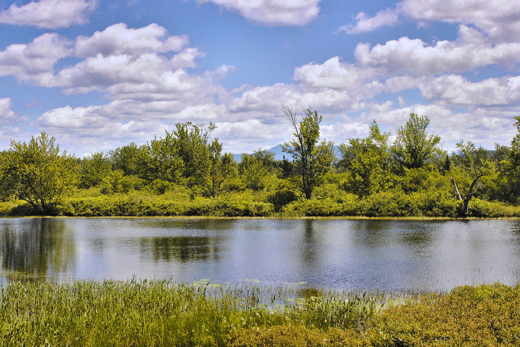Oxbow Overlook – The Wild Center, Tupper Lake, New York