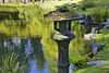 Reflections in the Pond – Nitobe Memorial Gardens, Vancouver, British Columbia