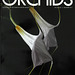 AOS Orchids Cover