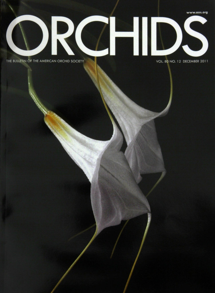 AOS Orchids Cover