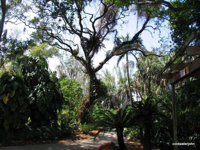 Sarasota Marie Selby Botanical Gardens