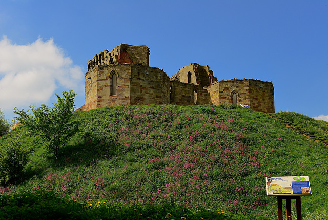 Stafford Castle