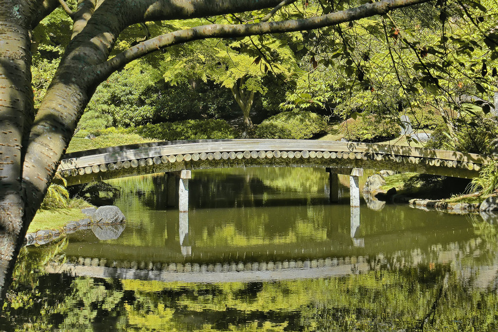 The 77-Log Bridge – Nitobe Memorial Gardens, Vancouver, British Columbia