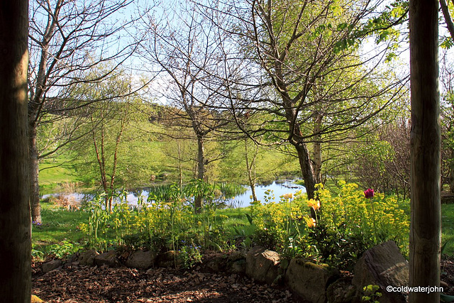 Sunny Spring Afternoon in the Pond  Garden