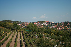 View of Tihany