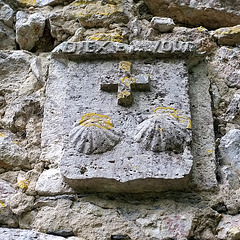 Coquilles St-Jacques de la Chapelle du Château de Beauregard