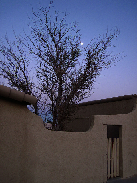 Moon Over Desert Hot Springs (4714)