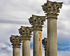 Old Capitol Columns #4 – National Arboretum, Washington D.C.