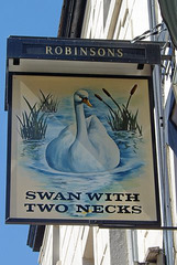'Swan With Two Necks'