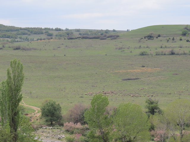 Autour de Bargala.