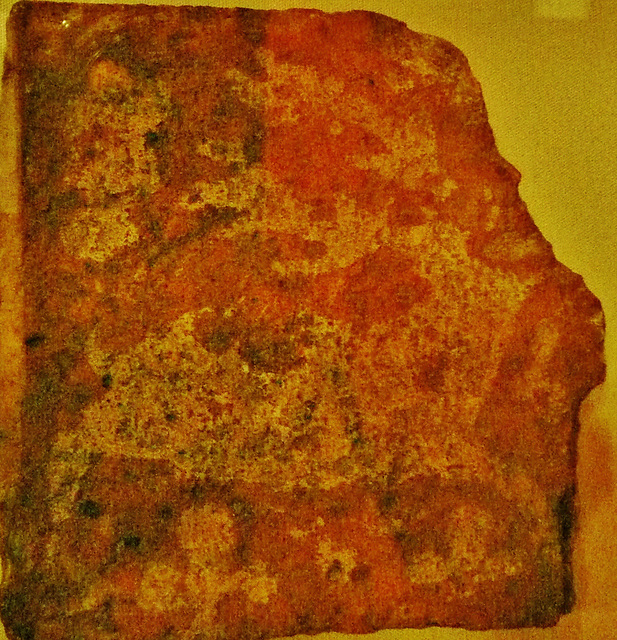 hertford museum , mediaeval tile