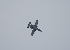 355th Fighter Wing Fairchild A-10 Thunderbolt