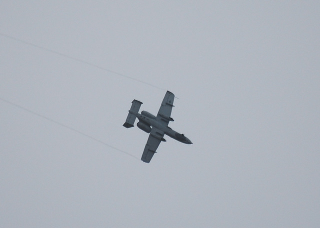 355th Fighter Wing Fairchild A-10 Thunderbolt