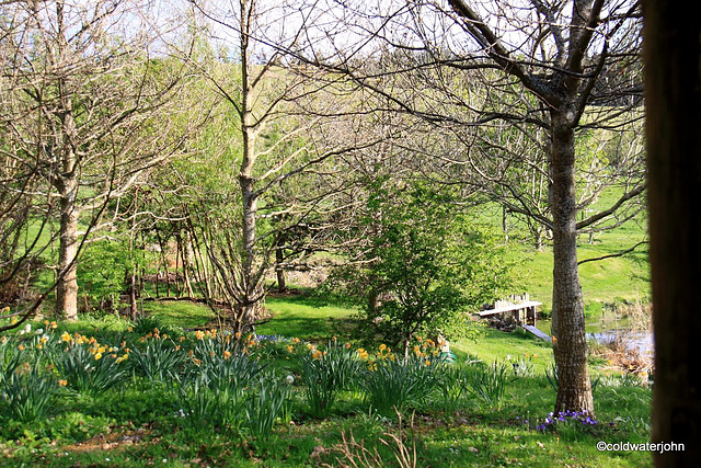 Sunny Spring Afternoon in the Pond  Garden 5627852941 o