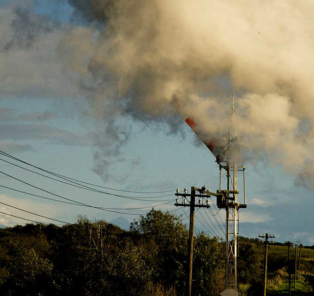 steamy signal