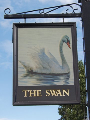 The Swan