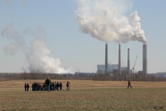 Anson Family Farms