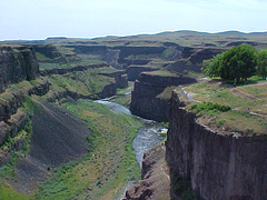 Looking Away ... from Palouse Falls