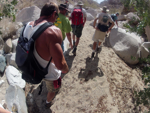 Petroglyph Canyon (114426)