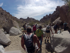 Petroglyph Canyon (114431)