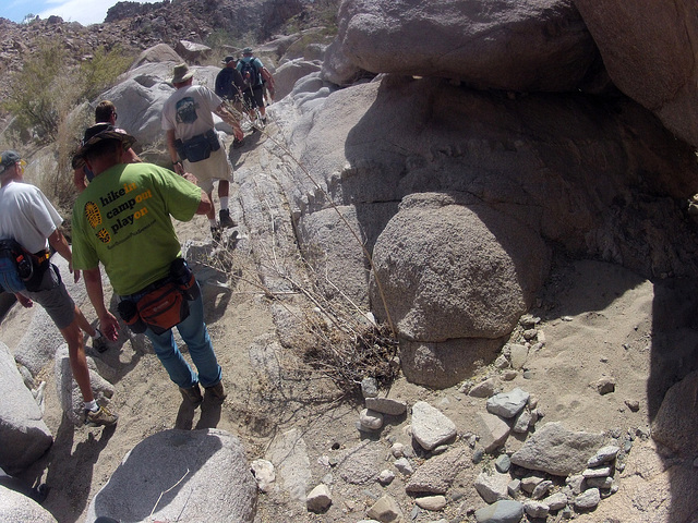 Petroglyph Canyon (114448)