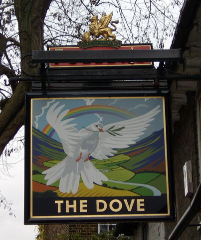 'The Dove'