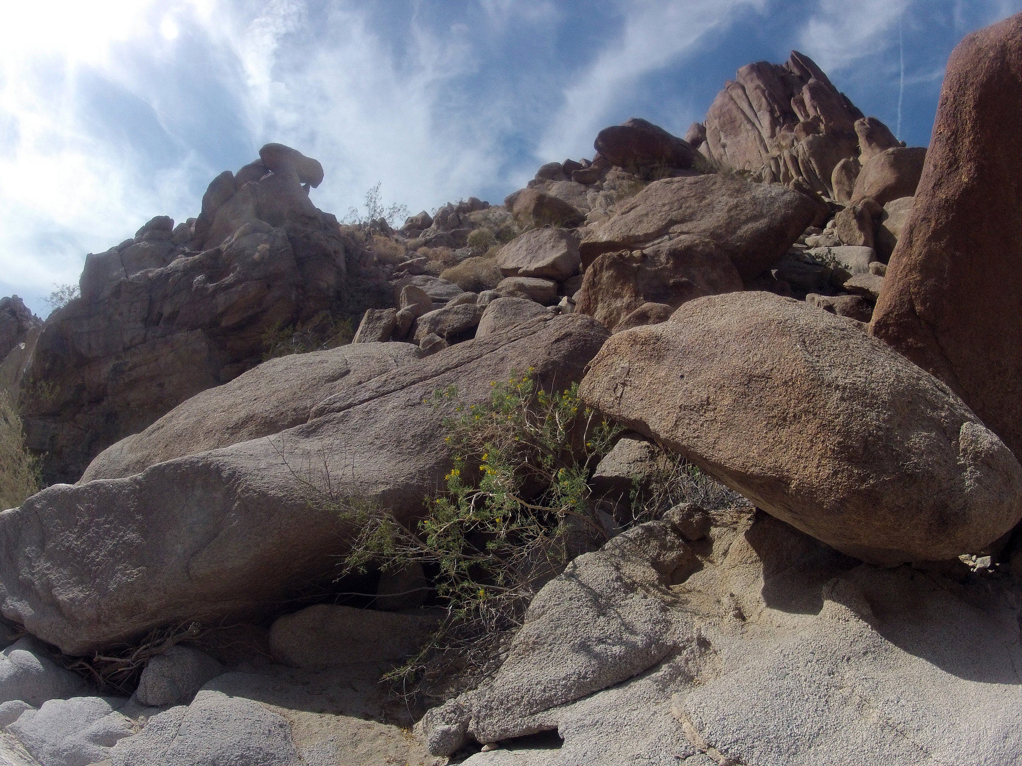 Petroglyph Canyon (114458)