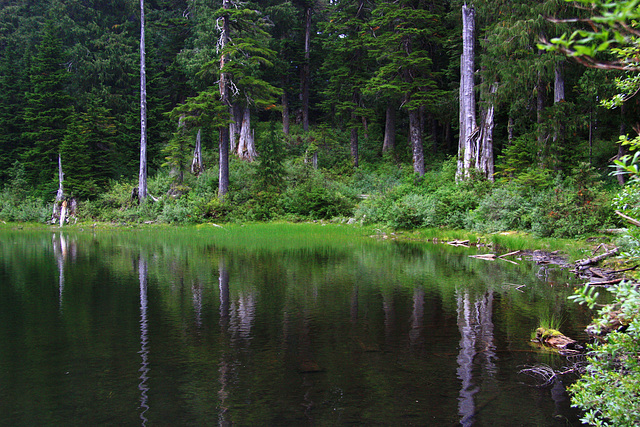 Lake Elizabeth