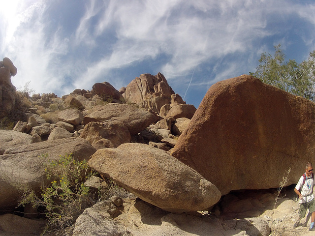 Petroglyph Canyon (114500)