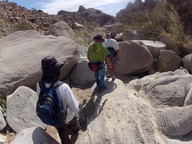 Petroglyph Canyon (114506)