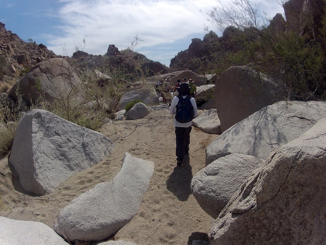 Petroglyph Canyon (114524)