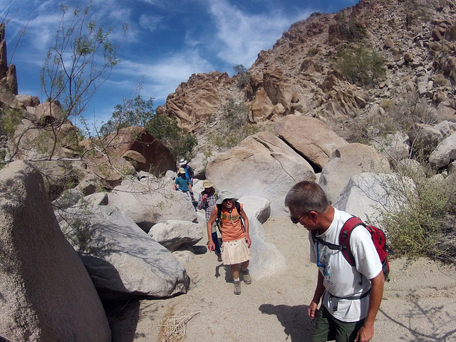 Petroglyph Canyon (114534)