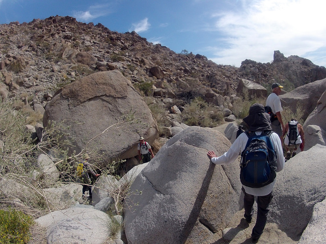 Petroglyph Canyon (114555)