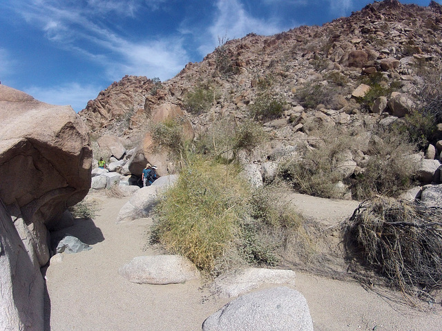 Petroglyph Canyon (114654)