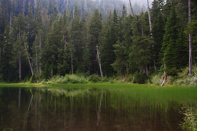 Lake Elizabeth