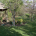 Sunny Spring Afternoon in the Pond  Garden 5628437748 o