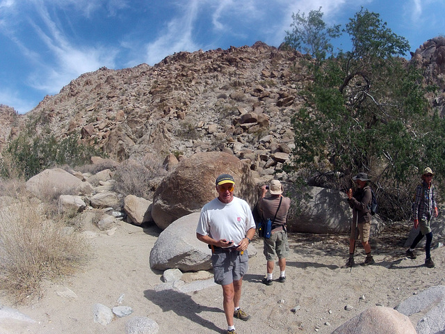 Petroglyph Canyon (114850)