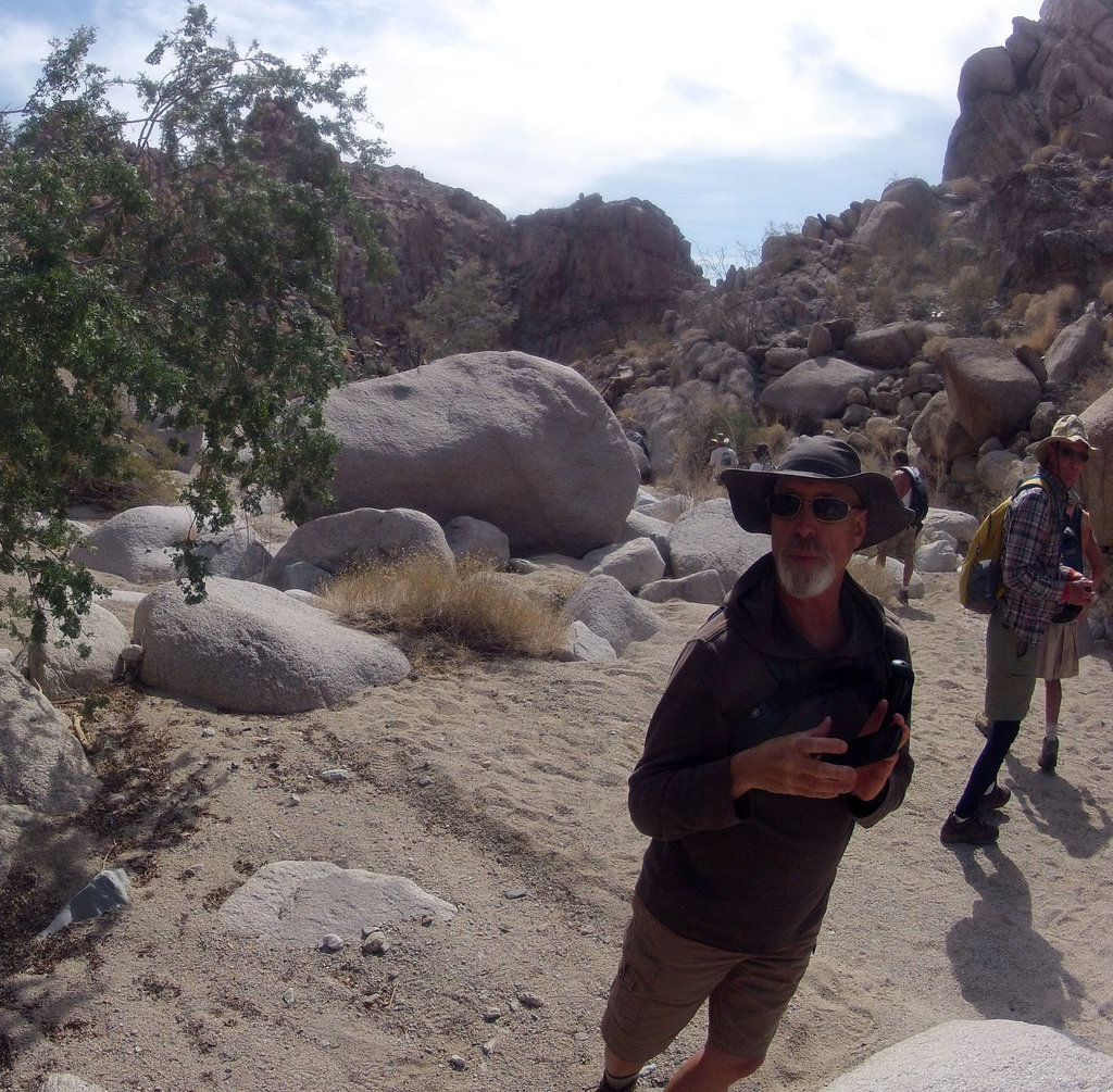 Petroglyph Canyon (114856)