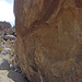 Petroglyph Canyon (114936)