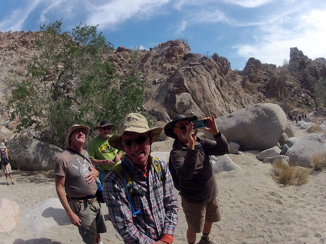 Petroglyph Canyon (114942)