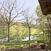 Sunny Spring Afternoon in the Pond  Garden